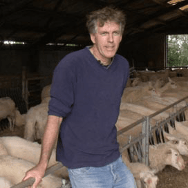 Eilanders melken 200 biologische schapen