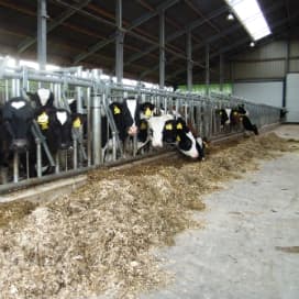 Dieren en akkers varen wel bij hellingstal