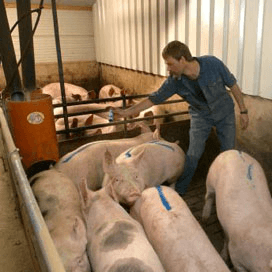 Grote verschillen in arbeidskosten