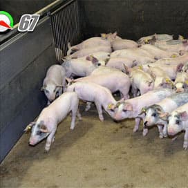 Ziekte van Glässer