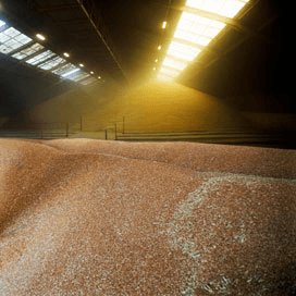 Graanexport EU naar record