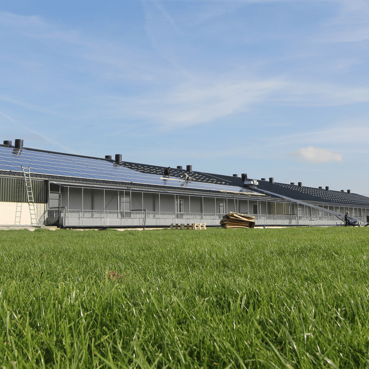 Prachtige nieuwe stal voor biologische vleesvarkens