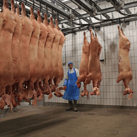 Tönnies verlaagt varkensprijs niet verder