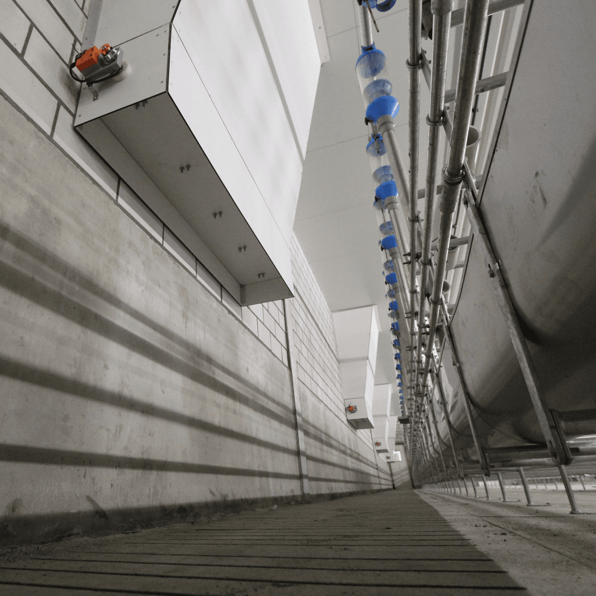 Eigen klimaatsysteem in nieuwe stal