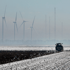2014: een van de warmste winters ooit