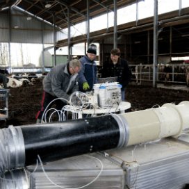 Ammoniak uit compostbed vrijloopstal meten
