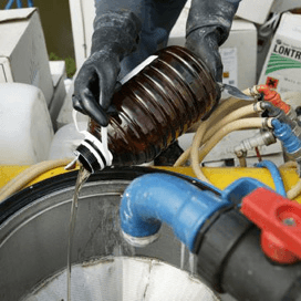 Natuur & Milieu wil verbod insecticiden