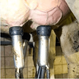 Flynth: jaarwinst in 2014 €14.000 lager