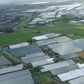 €60 miljoen voor energiezuinige tuinbouw