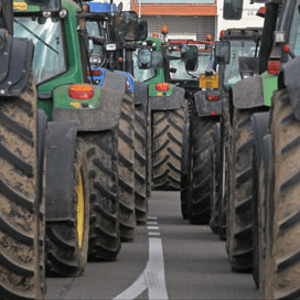 Berlijnse betoging tegen agrarische industrie