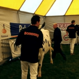 Finale veebeoordelen op bedrijf met nieuwe stal