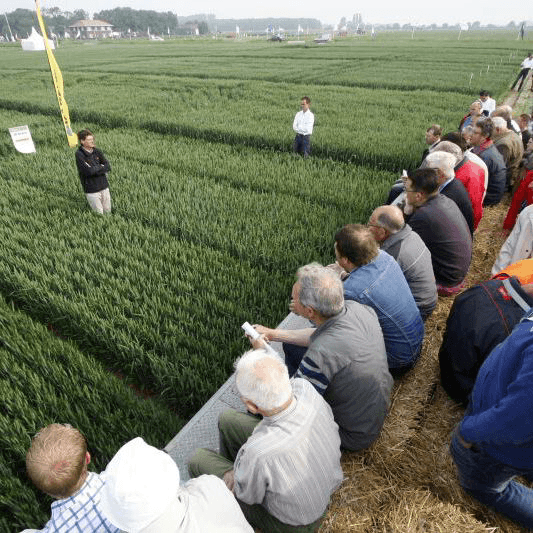Focus op aanscherping teelttechniek