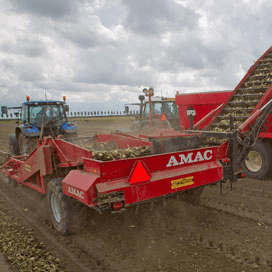 ‘Plantuienteler kleurt zelf markt donkerder’