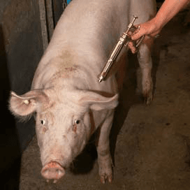 Draagvlak antibioticabeleid onder druk