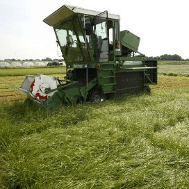 Nieuwe grasrassen oogsten