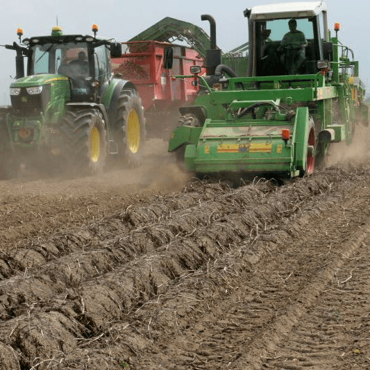 Zuidwestelijke pootgoedoogst komt op stoom