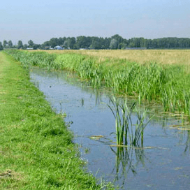 Waterkwaliteit verbetert