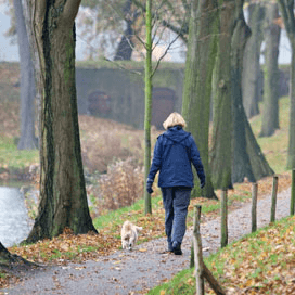 Fikkie moet betalen