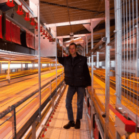 Veel arbeidsgemak met Farmer Automatic-systeem
