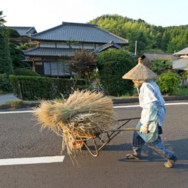 Japans verzet handelsdeal zwelt aan