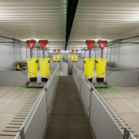 Tweede nieuwe stal in drie jaar tijd