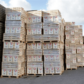Groot volume pootgoedexport in maart