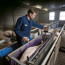 Geld ligt voor het oprapen