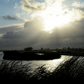 Familiebedrijf heeft de wind mee