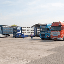 Russische boycot raakt 0,1 procent export