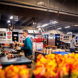Exportwaarde bloemen en planten nipt hoger