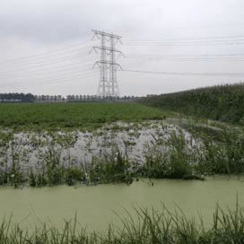 Waterschade door extreme neerslag