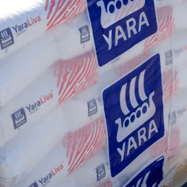 BASF en Yara bouwen forse ammoniakfabriek in Texas