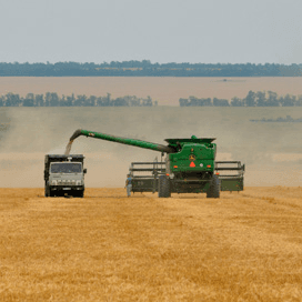 Rusland exporteert veel tarwe ondanks sancties
