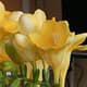 Minder freesia’s op de veiling