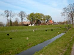 Boeren houden grondprijzen op peil