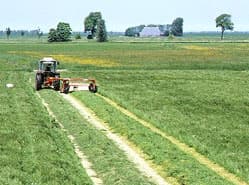 Maaien en verkopen van gras is genoeg voor cultuurgrondvrijstelling