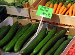 ‘Verkoop groente Duitsland weer op peil’
