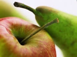 Gunstig hardfruitseizoen in zicht