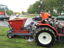 Bollen in de berm van Venlo
