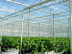 Glastuinbouw produceert recordhoeveelheid elektriciteit