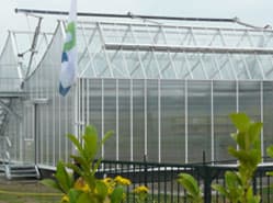 Rabo: opbrengsten tuinbouwbedrijf naar dieptepunt