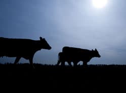 Oppositie komt met wet natuurbehoud