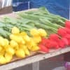 Bloemen op Vrouwendag