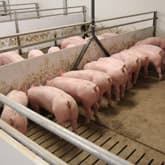 Ventilatie als kernaandachtspunt