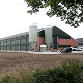 Nieuwe etagestal Reijerink Pluimvee