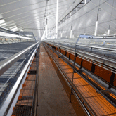 Investeren in energiezuinige volièrestal