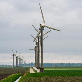 Wind grootste bron hernieuwbare elektriciteit