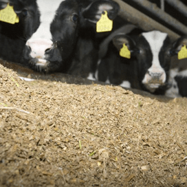 Koopaanbeveling ING voor ForFarmers