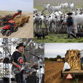 Landbouwnieuws in beeld: week 25