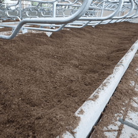 Nieuw onderzoek naar TAS en XTAS in biobedding